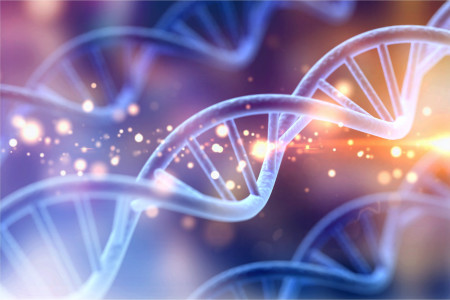 Quantitative Polymerase Chain Reaction